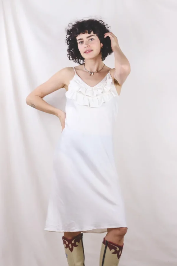 Lintu vintagesilkkimekko