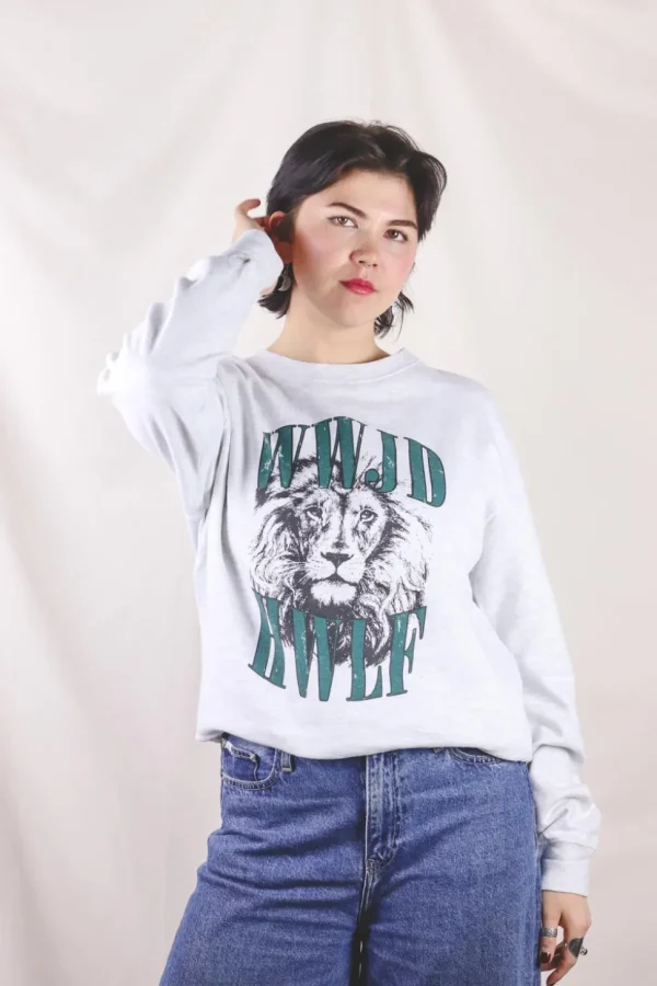 Lion 2handcollege