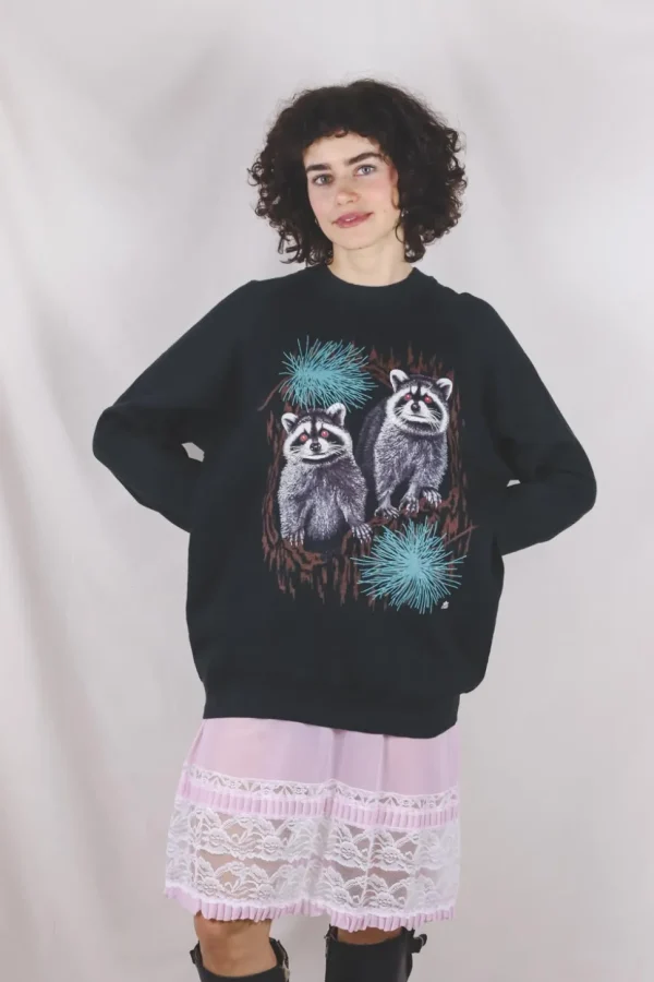 Raccoons vintagecollege
