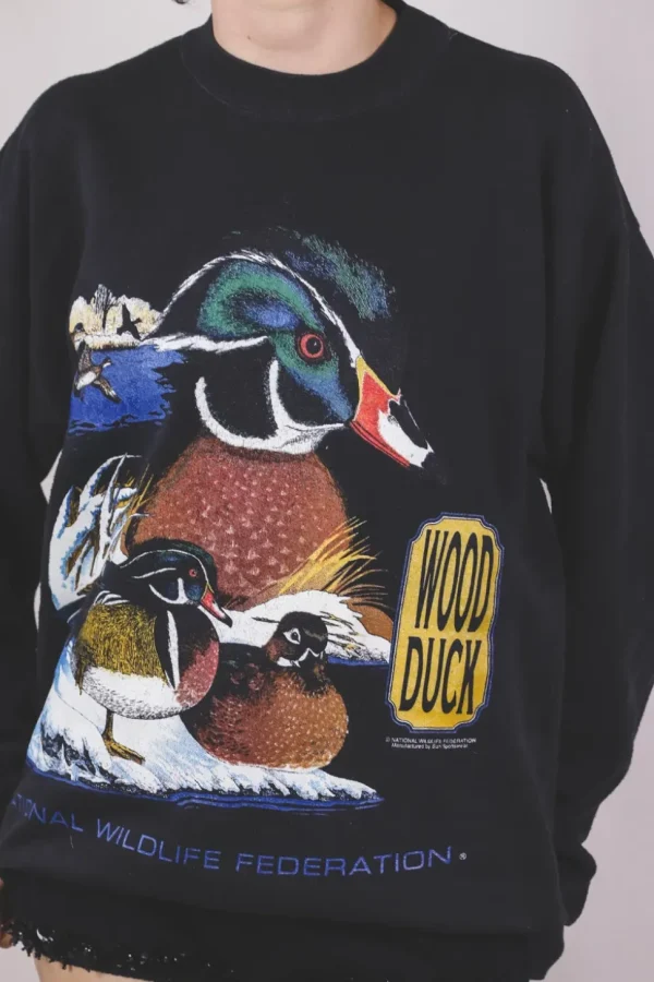 Wildlife vintagecollege