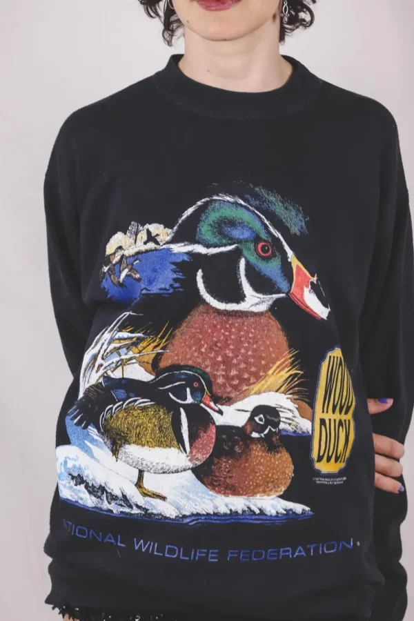 Wildlife vintagecollege